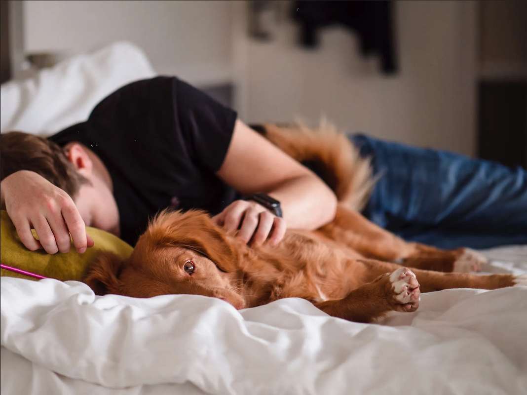 Estos son los poderosos beneficios para tu cerebro de dormir siesta