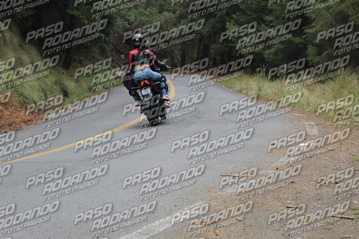 IMG 0901 wm 7472468 6 watermarked — Postimages