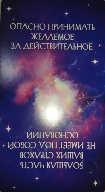 Изображение WhatsApp 2025-07-12 в 13.30.27_48af3305