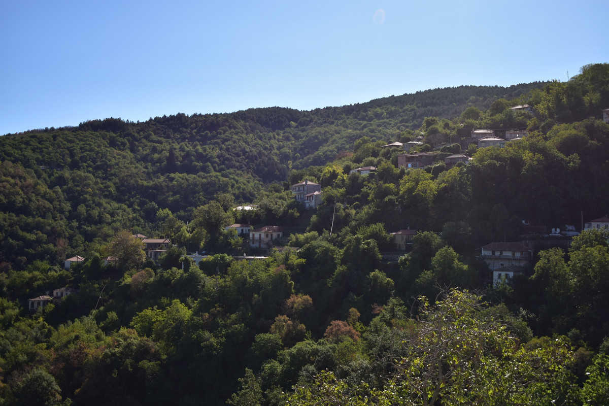 Άνω Δολιανά (19)