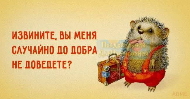 72C118B1-B8F5-4457-BA0E-D43A64357EB8