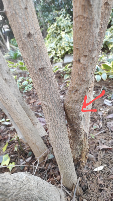 IMG_20250206_150858~2