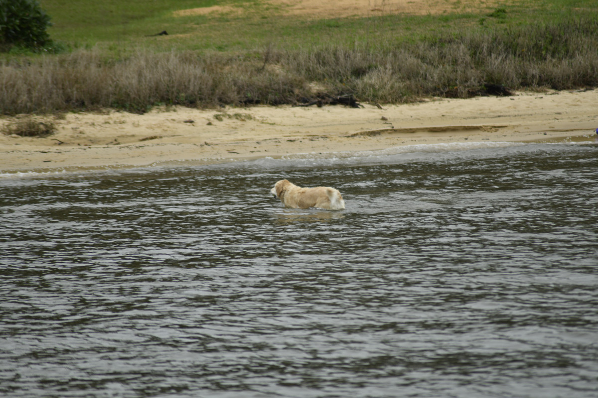 _DSC0045
