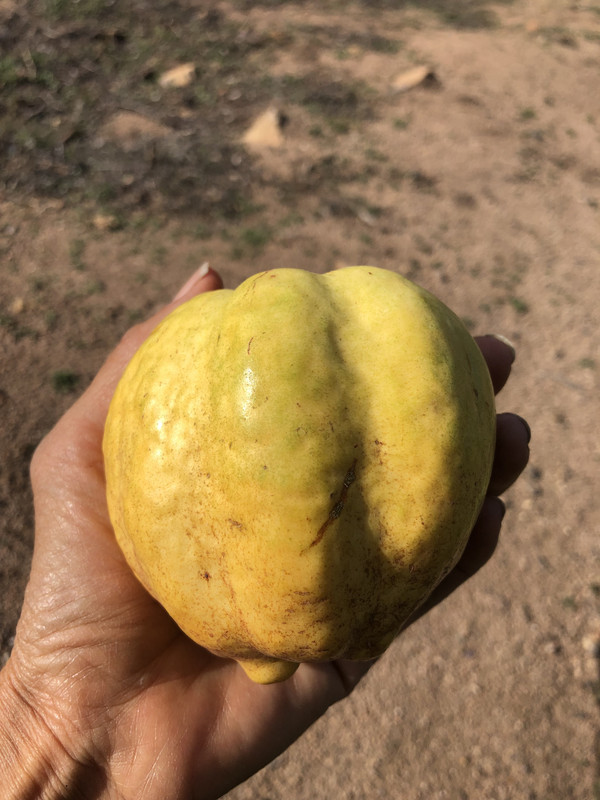 B1878A3B-045F-4103-9959-89449385035C