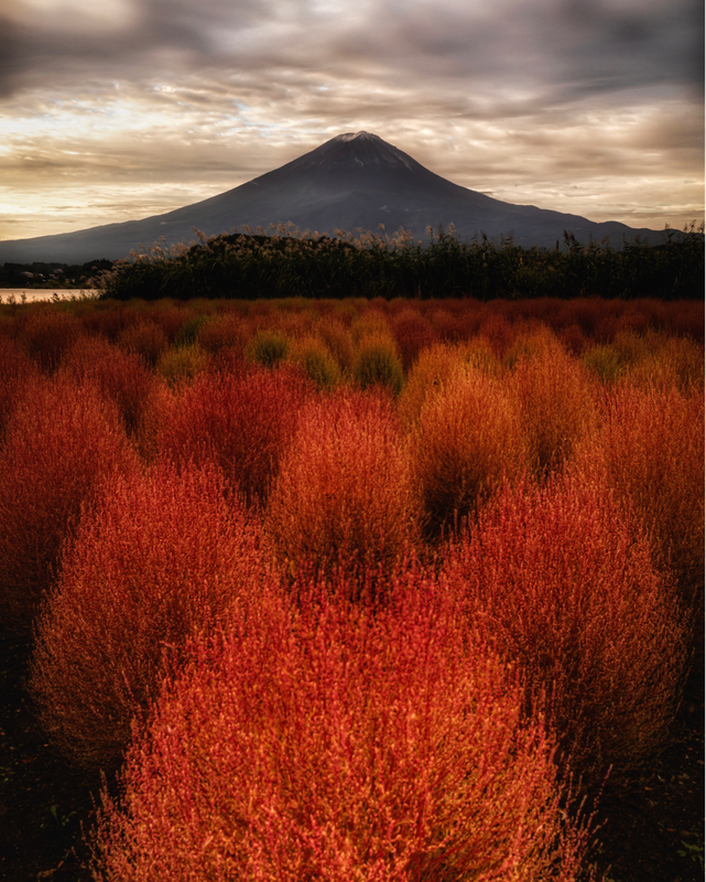 IMG-1569.png