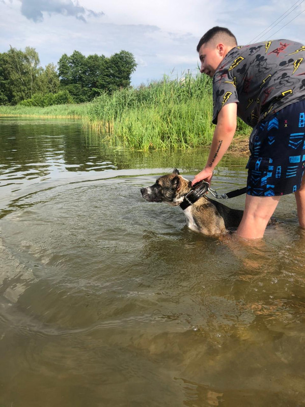 489E704E-C4F4-49A4-AF5C-5583487305AA