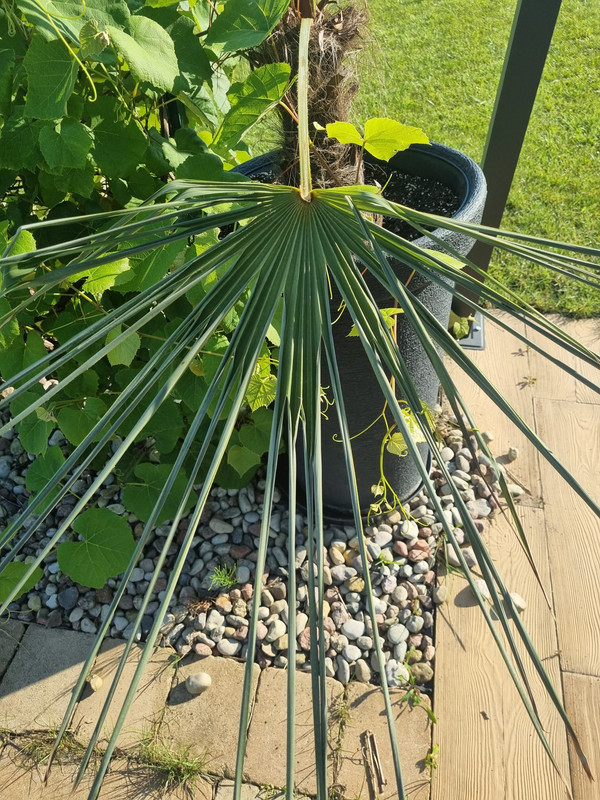 Zdjęcie WhatsApp 2024-07-18 o 14.33.05_644aba59