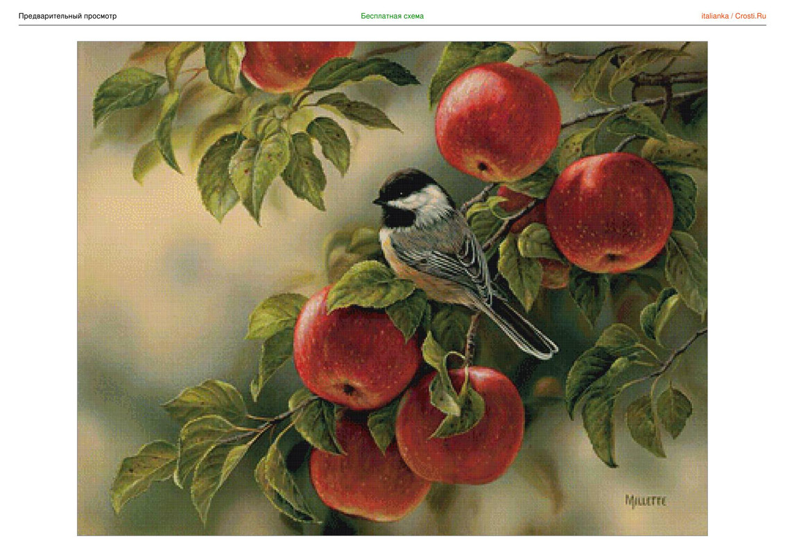 1315636-crosti-ru-color-1