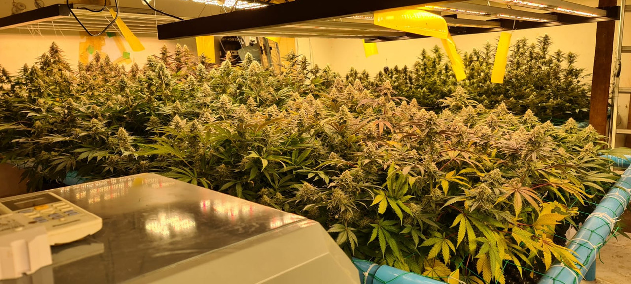 GMP