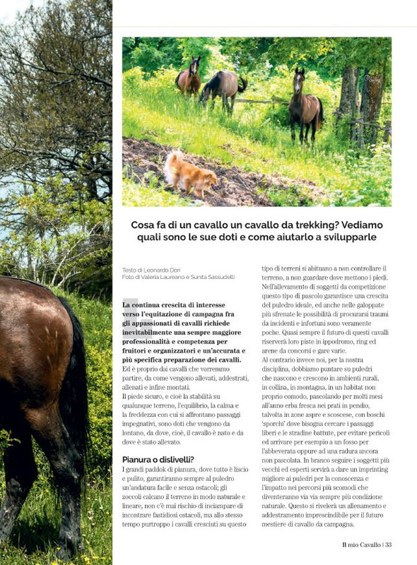 Il Mio Cav (Giu 2022) 6