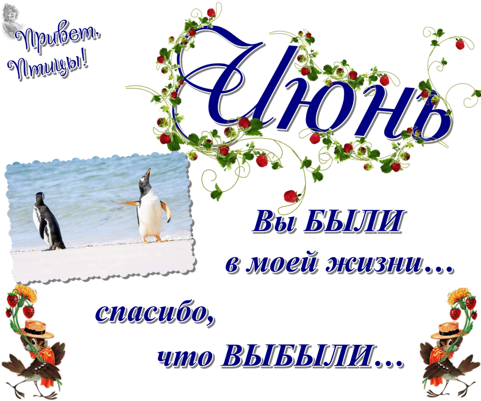 https://i.postimg.cc/brnn8XZ2/09-06.png
