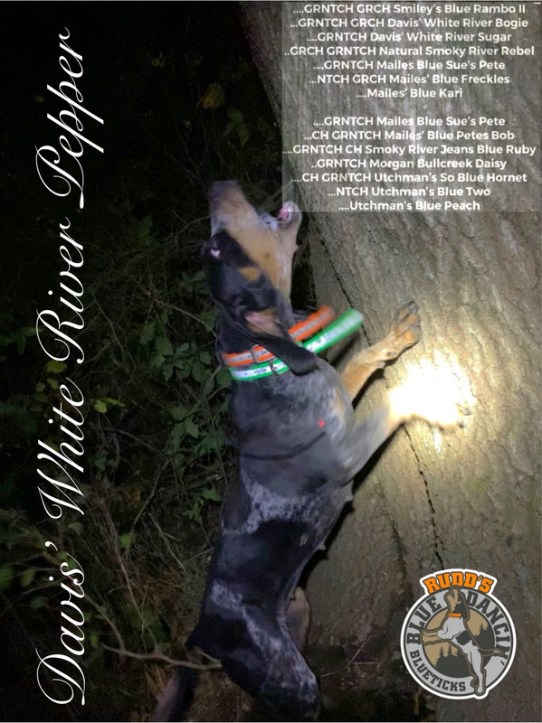 0EF2BA38-22A0-4BBD-AD23-943DFEE600F3