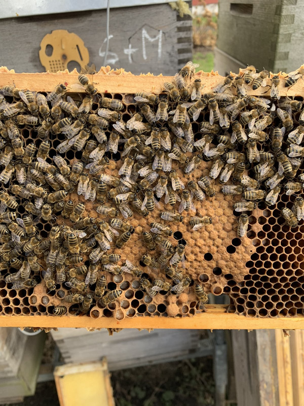 206310B3-7AC3-42D2-9B0F-5FFC41B06576