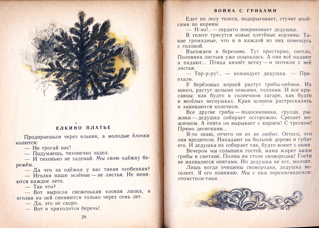 Шим Э. Ю. - Жук на ниточке - 1978_page-0016