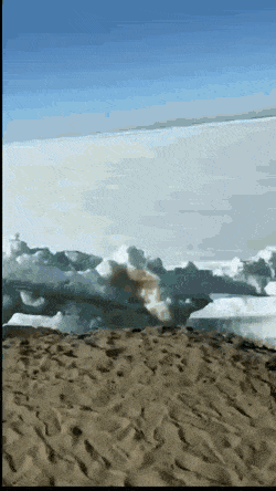 GIFs-25
