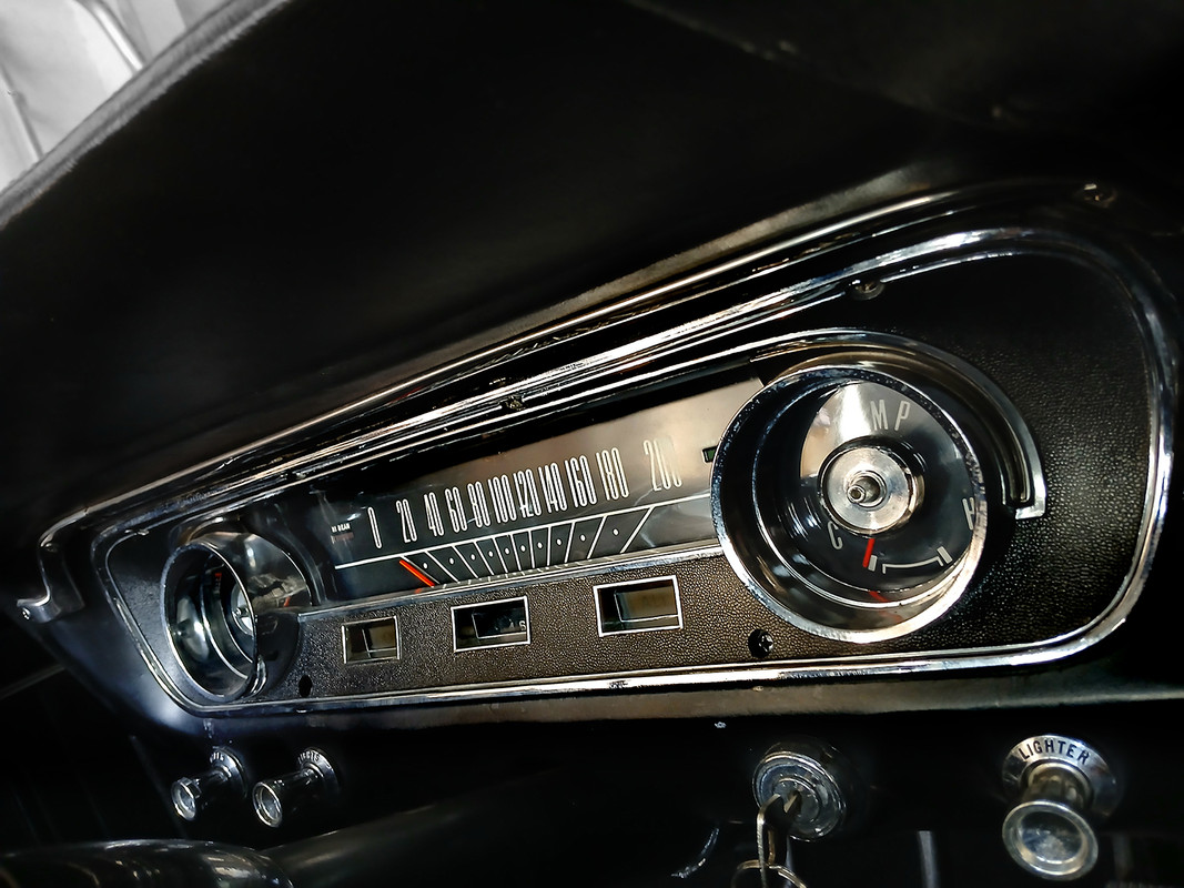 MUSTANG_EA2504-10