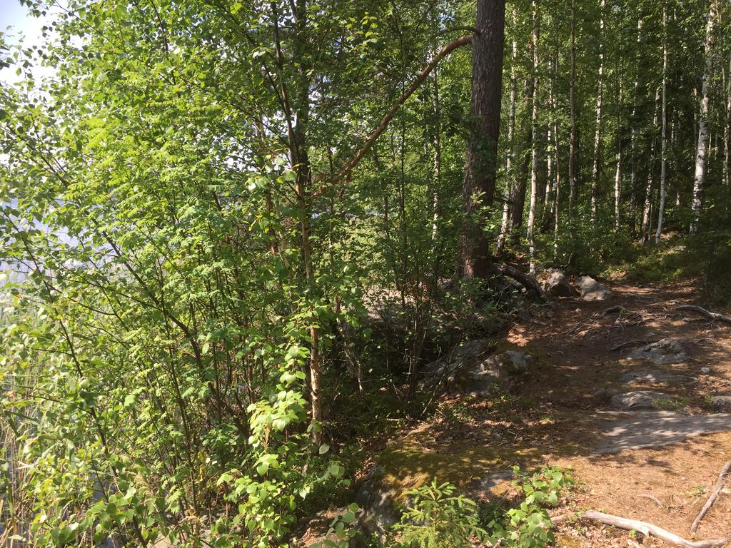 24656594-2A28-49E6-92F7-94F4096D42DE