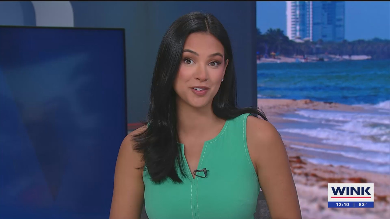07.02 - 17.00.00 - The WINK Noon News  ᴺᵉʷ. Midday news update..ts_snapshot_11.52.523