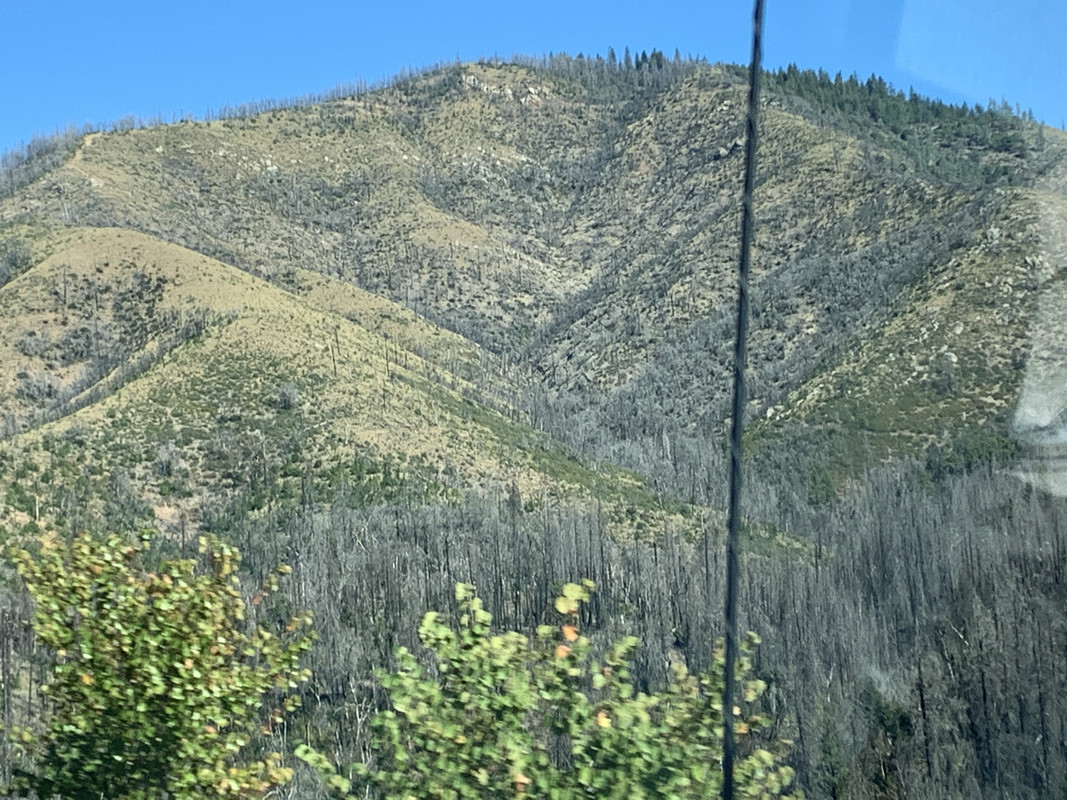 73A3760F-9AE9-41DA-9BE3-EC4F3B61A326