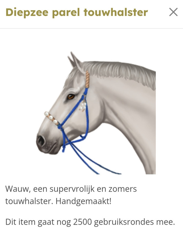 Screenshot 20251209 113525 My Horsez