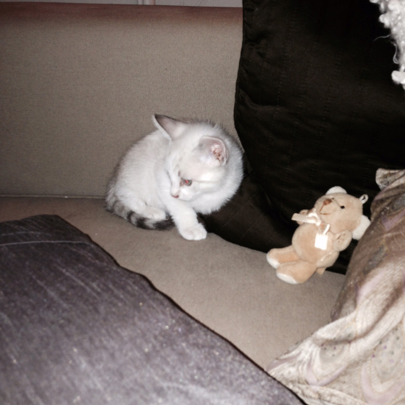 D6820ABF-7B7C-4235-BD77-C02410A4E6CC