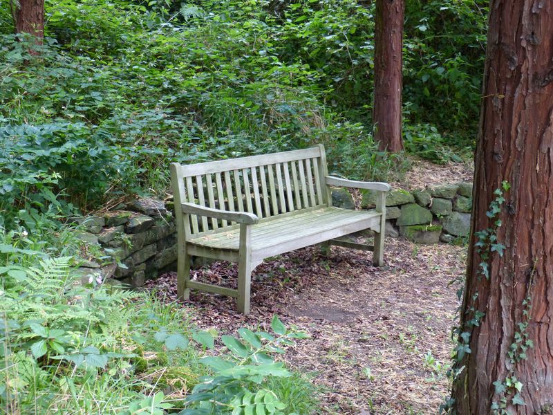 2014-07-13 Arboretum Härle 23