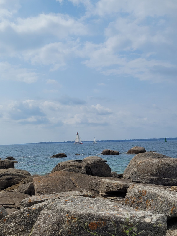 [Image: 20250819-160507.jpg]