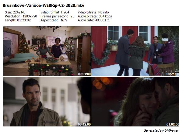 Brusinkové Vánoce / Cranberry Christmas (2020)
