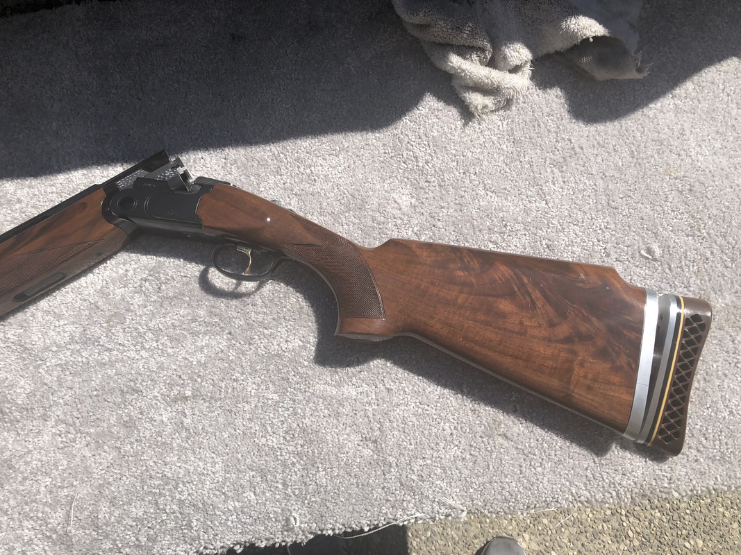 D80256D4-7646-4831-AC53-FC2D83607CB3