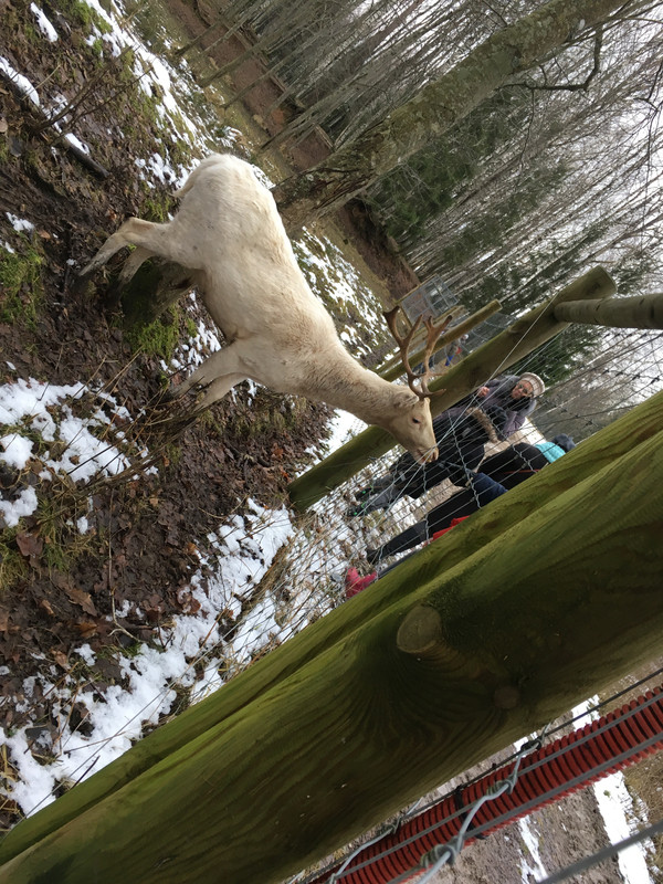 87392660-7D33-4868-B791-F4CA1CD2032E