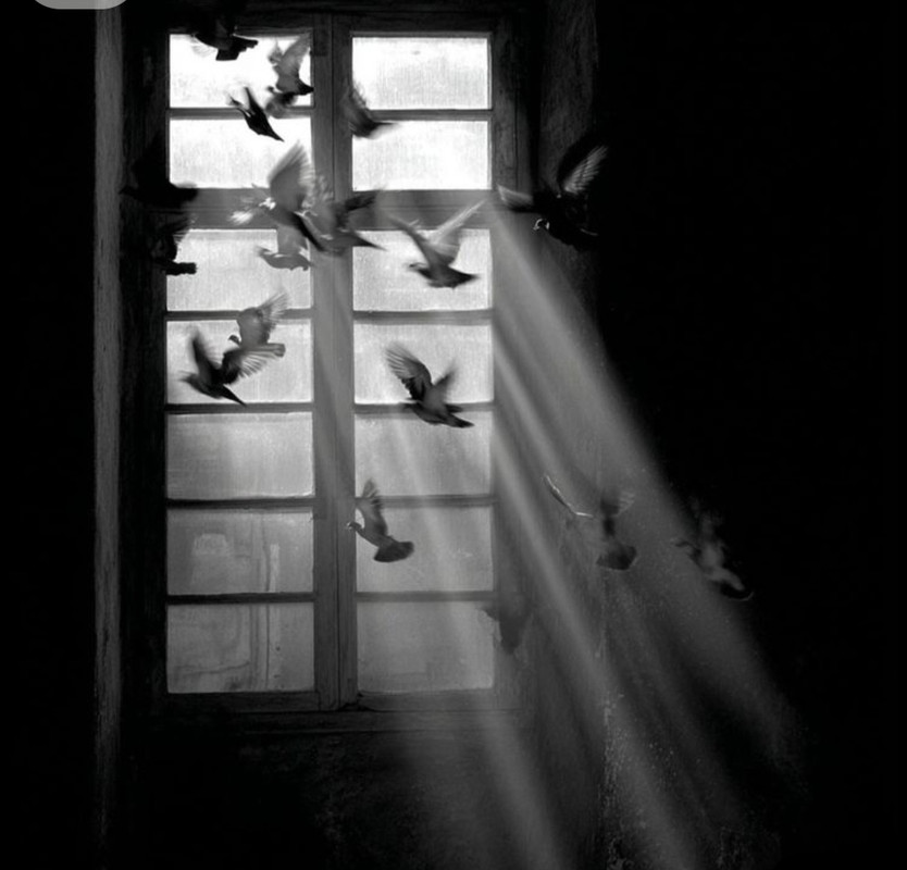 Screenshot_20250924_235311_Pinterest