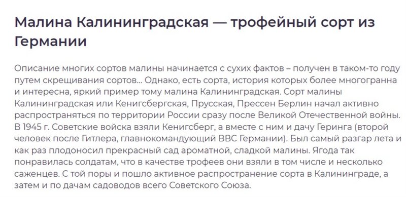 МАЛИНА ПРЕССЕН БЕРЛИН