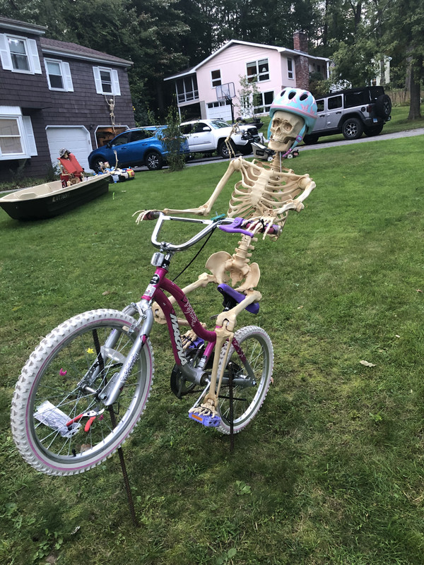 78F13A0A-0C42-4C02-81E3-A448CD658274