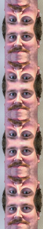 rainertapete.jpg