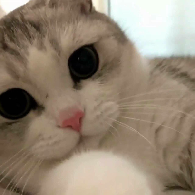 78BC65B9-937D-41C8-AA68-4F1FD83B91A6