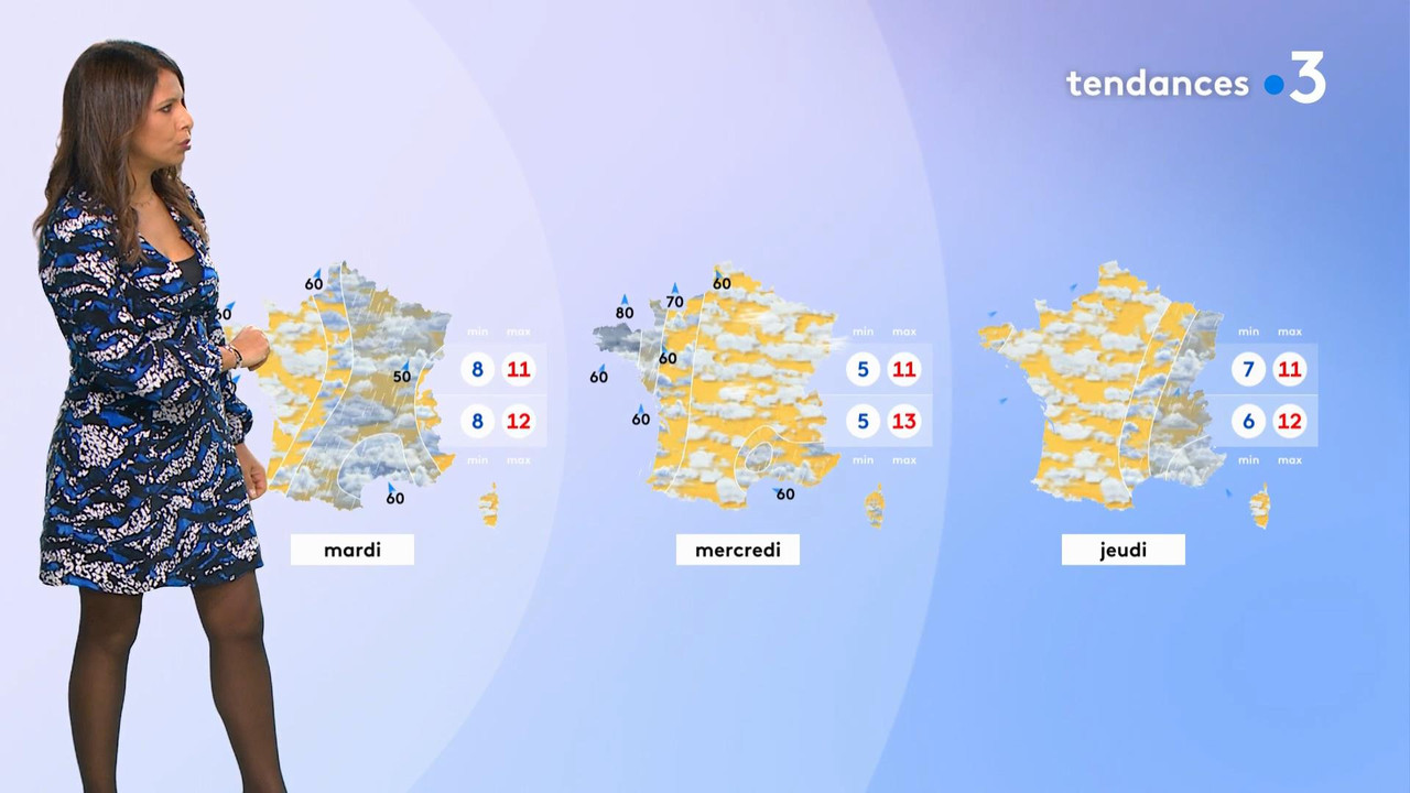 vlc-record-2021-03-23-00h38m19s-2020-12-13_21_00_Fr3_Meteo.mp4-.mp4_snapshot_02.14_[2021.03.23_00.59
