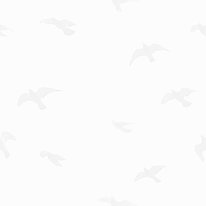 94