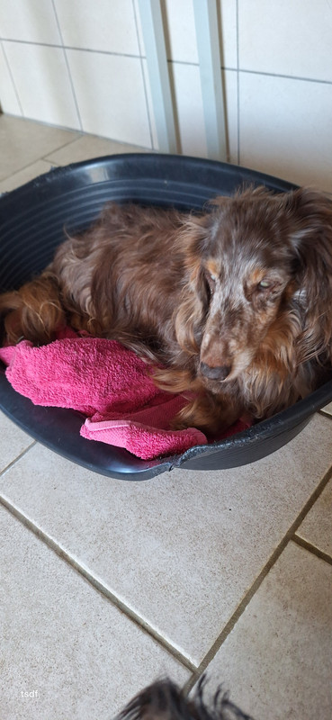 [Image: 20250628-201432.jpg]