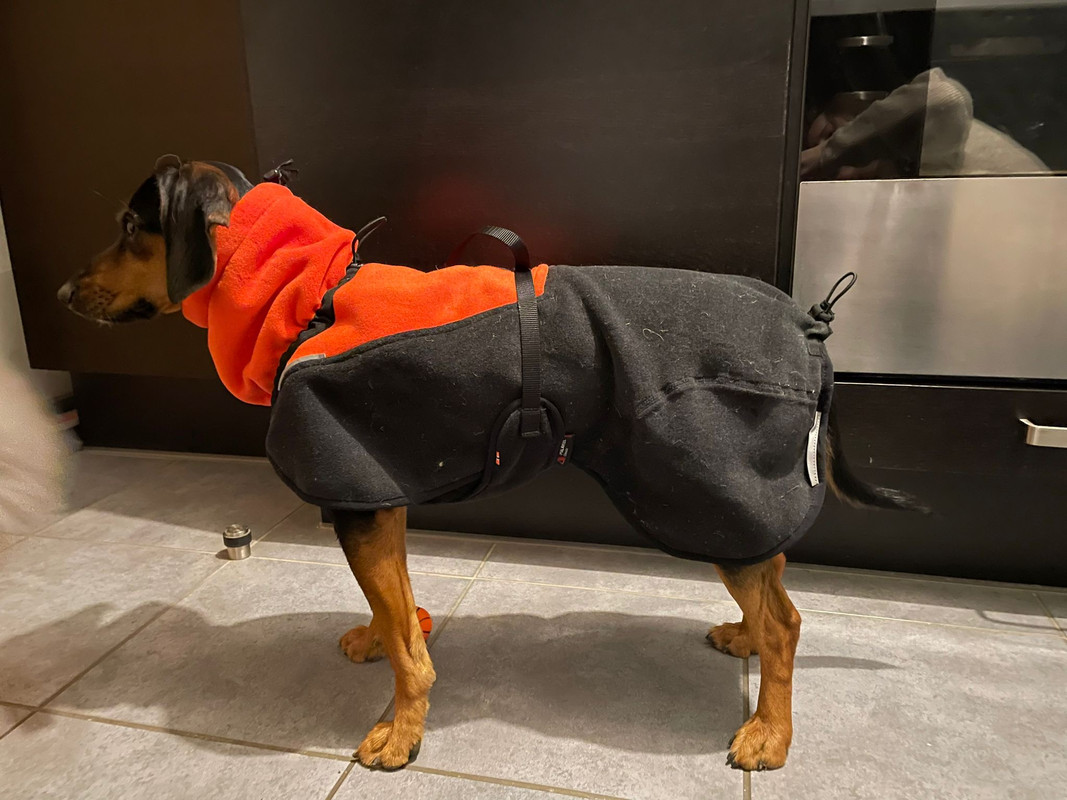 331e91d8-dbf2-47a5-9fe0-a5cbfb3f6662