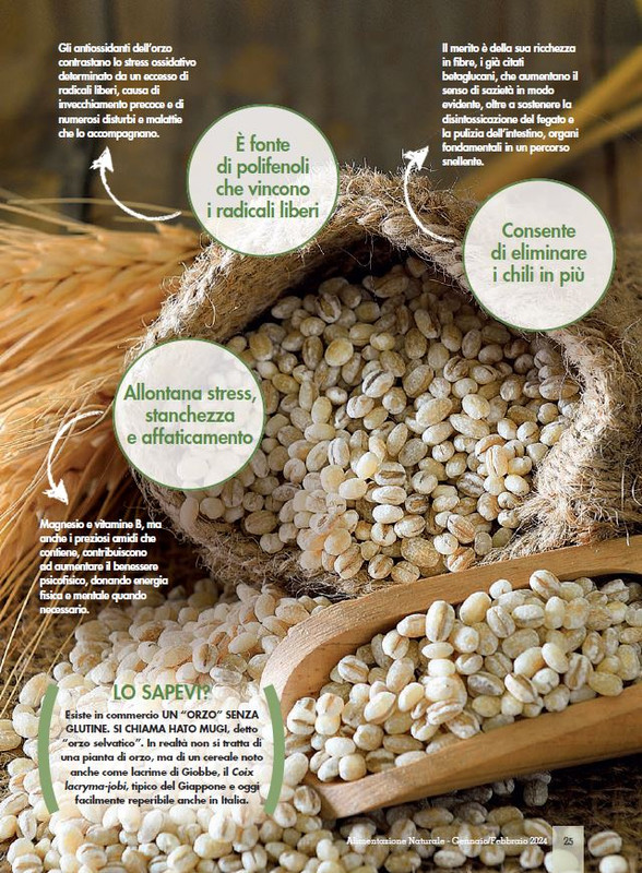 Alim Nat Gen-Feb 2024 (4)