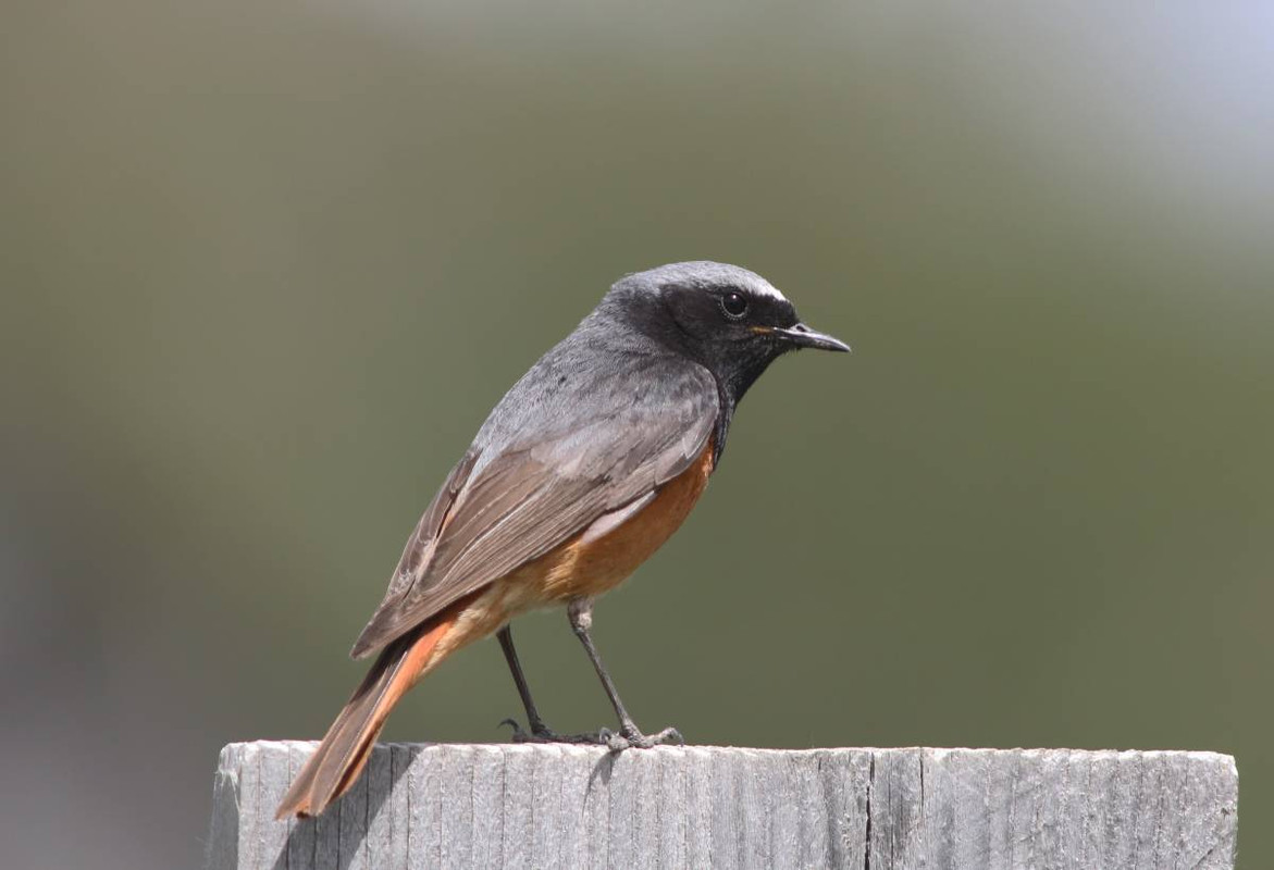 26920DBE-07F3-4962-B0C8-1613388F7D0E