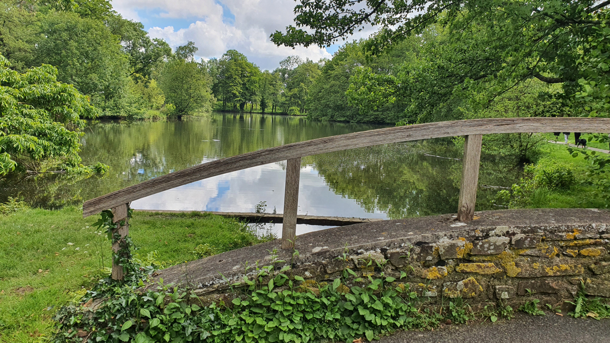 [Image: 20240517-111333.jpg]
