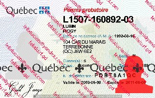 Canada - Québec (QC) Driving Licence 2_cleaned