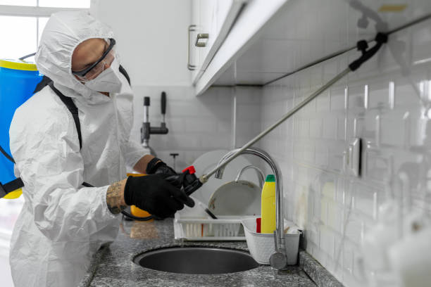 Termite-Treatment-5.jpg