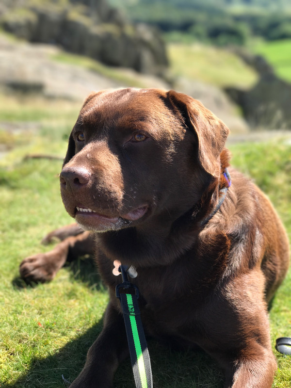 D696090D-95EF-4B7B-97E7-DF3A6E90F2DE