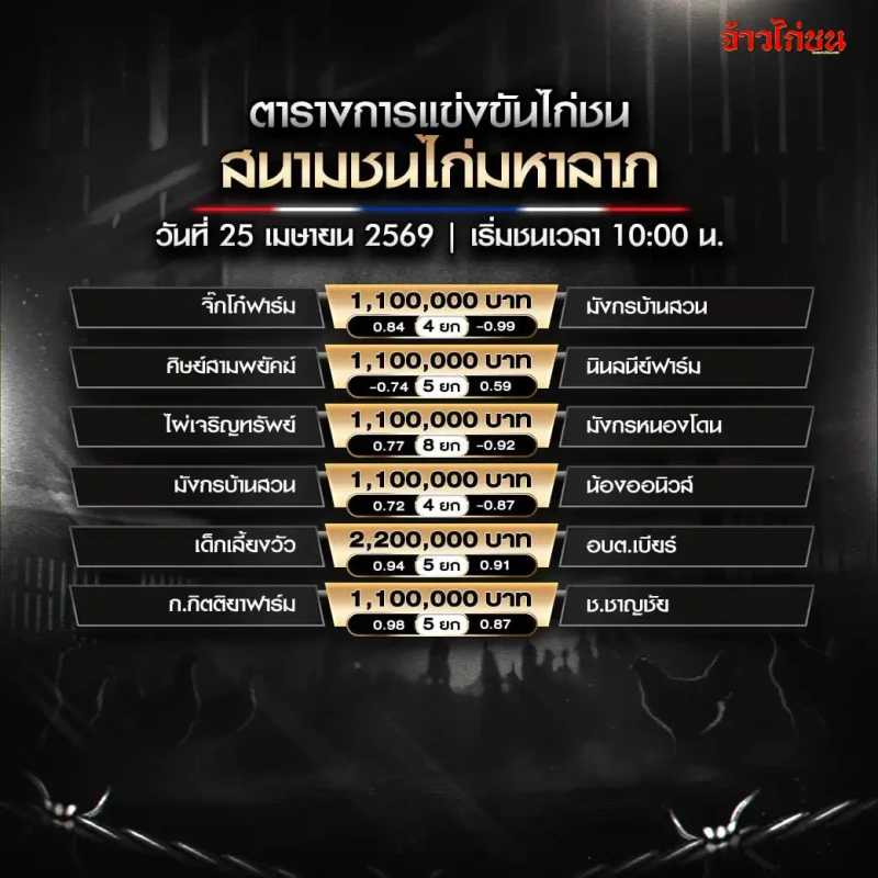 โปรแกรมไก่ชน สนามชนไก่มหาลาภ วันที่ 25 เมษายน 2569 ภาพรวมทุกคู่