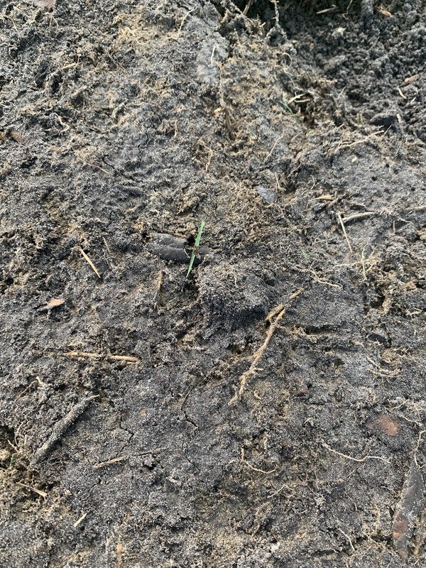 D9CD1867-2DF7-4CFA-B937-4331EFEABCCB