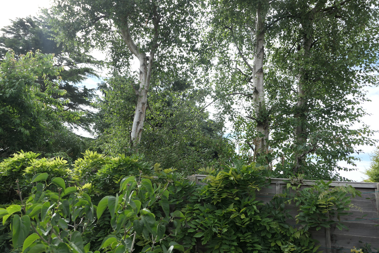 P1040838