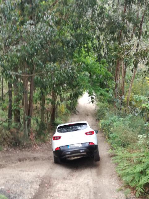 IMG-20190509-080036.jpg