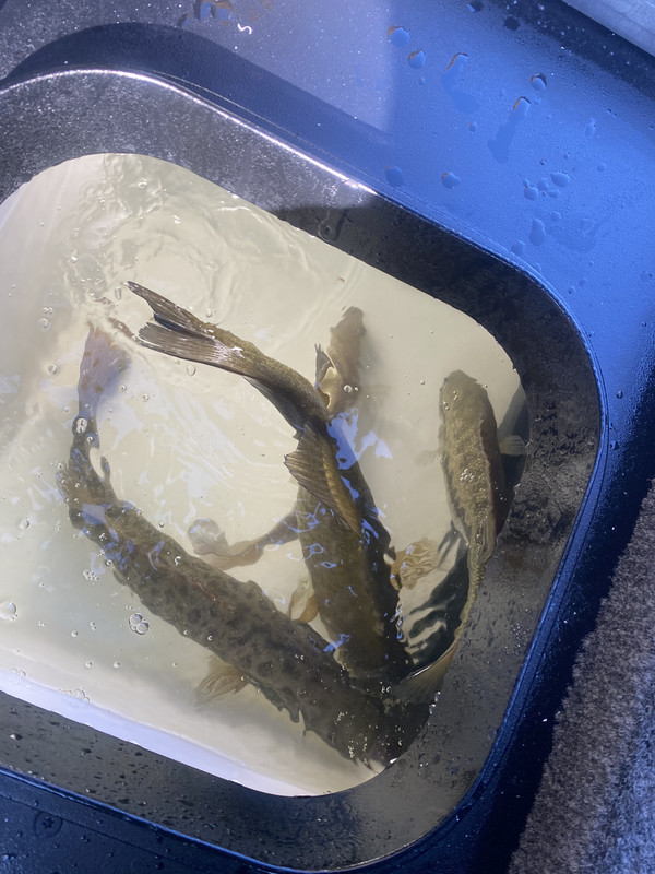 2A6A2447-AC80-4DE5-AAB1-BB1C9D0C8E56